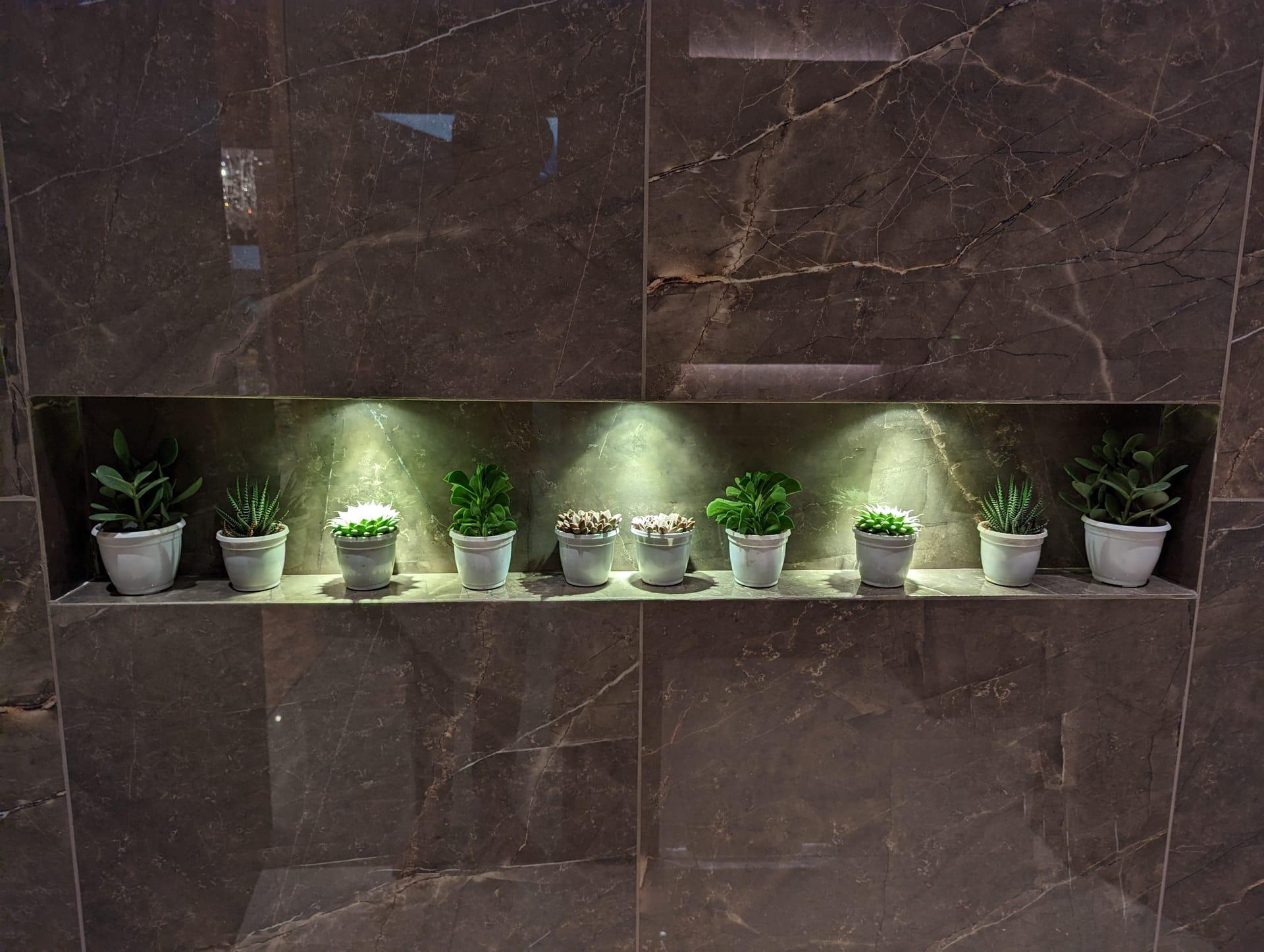Eco Landscapes project